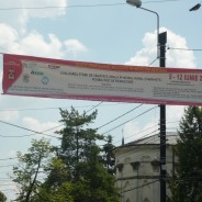 Ziua profilaxiei Moldave în medicina dentară – Evaluarea stării de sănătate orală în mediul rural și monastic. Posibilități de reabilitare, 9 – 12 iunie 2010 — imagine 5