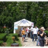 Ziua profilaxiei Moldave în medicina dentară – Evaluarea stării de sănătate orală în mediul rural și monastic. Posibilități de reabilitare, 9 – 12 iunie 2010 — imagine 21